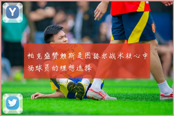 帕克盛赞赖斯是图赫尔战术核心中场球员的理想选择