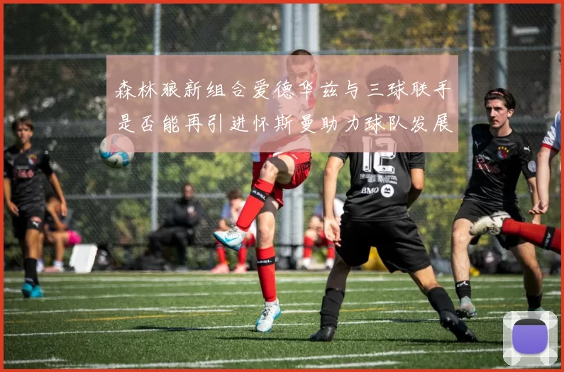森林狼新组合爱德华兹与三球联手是否能再引进怀斯曼助力球队发展