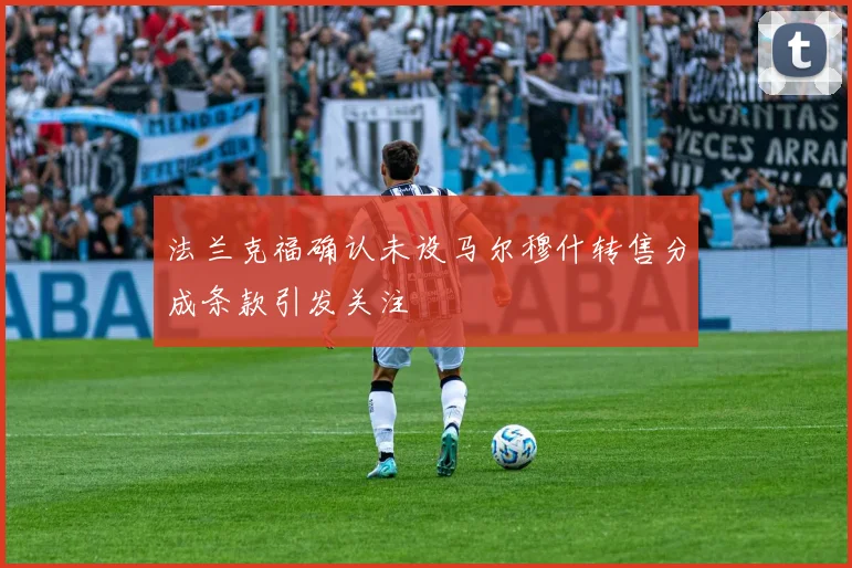 法兰克福确认未设马尔穆什转售分成条款引发关注